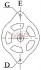 Alternator - ORYGINAL CARGO 113879 (фото 2)