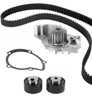 ROZRZAD KPL.Z POMPA CITROEN 2.2HDI 02- Metelli 3008613