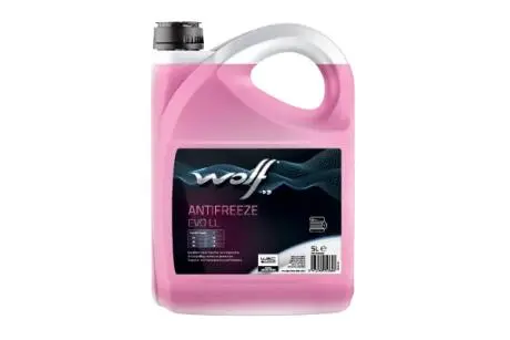 ANTIFREEZE EVO LL 5Lx4 - NEW Wolf 1052682