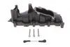 Колектор впускний Audi A4/A6/A8 2.7-3.0TDI 04-11 (L) GAZO GZ-E1109 (фото 1)
