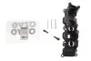 Колектор впускний Audi A4/A6/A8 2.7-3.0TDI 04-11 (L) GAZO GZ-E1109 (фото 2)