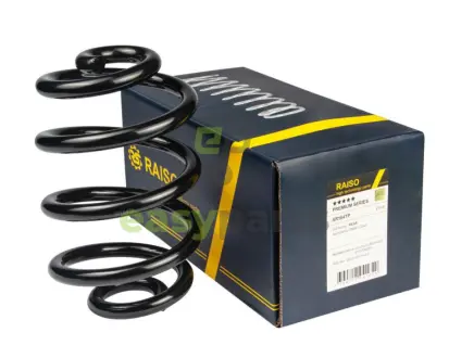 Фото пружина задня BMW 3 (E46) 90-07 D15/143 L243 L/R RAISO SR164TP Пружина задня BMW 3 (E46) 90-07 D15/143 L243 L/R RAISO SR164TP