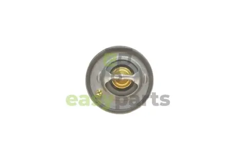 Термостат Fusion/Fiesta/Focus 1.2-1.6 95- FORD 96MM8575A1A