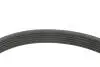 Комплект ременя генератора Citroen Berlingo/Peugeot Partner 1.6 HDi 10- (6PK1020) INA 529 0578 10 (фото 4)