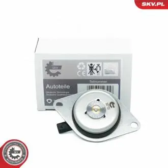 Magnes fazy rozrządu CHEVROLET Aveo Cruze OPEL Astra J Cascada Corsa D E Insignia SKV GERMANY 39SKV902 (фото 1)