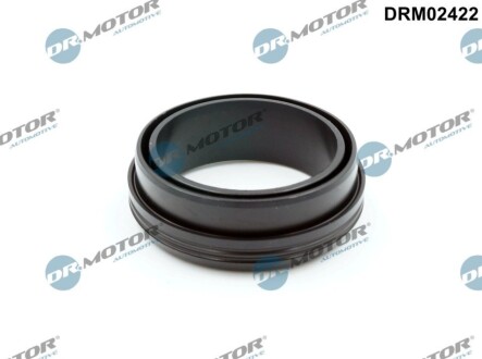 Ущiльнююче кiльце DR MOTOR DRM02422