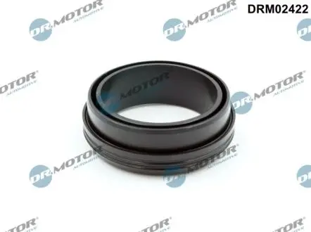 Ущiльнююче кiльце DR MOTOR DRM02422