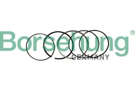 Автозапчасть BORSEHUNG B10369