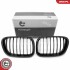 Grill BMW komplet L+P, pojedyncza listwa, kolor carbon, BMW X5 E53 SKV GERMANY 66SKV274 (фото 1)