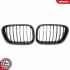 Grill BMW komplet L+P, pojedyncza listwa, kolor carbon, BMW X5 E53 SKV GERMANY 66SKV274 (фото 2)