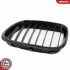 Grill BMW komplet L+P, pojedyncza listwa, kolor carbon, BMW X5 E53 SKV GERMANY 66SKV274 (фото 9)