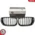Grill BMW podwójna listwa, kolor carbon, BMW 3 E46 Facelift SKV GERMANY 66SKV084 (фото 1)