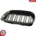 Grill BMW podwójna listwa, kolor carbon, BMW 3 E46 Facelift SKV GERMANY 66SKV084 (фото 7)