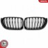 Grill BMW komplet L+P, kolor carbon, BMW X3 F25 Facelift SKV GERMANY 66SKV259 (фото 1)