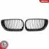 Grill BMW komplet L+P, kolor carbon, BMW 3 E46 Facelift SKV GERMANY 66SKV080 (фото 3)