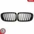 Grill BMW komplet L+P, czarny mat, BMW X3 F25 Facelift SKV GERMANY 66SKV257 (фото 2)