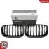 Grill BMW pojedyncza listwa, kolor carbon, BMW X5 E70 SKV GERMANY 66SKV286 (фото 1)