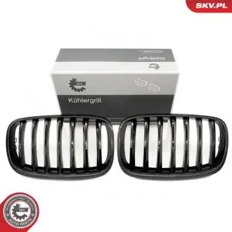 Grill BMW pojedyncza listwa, kolor carbon, BMW X5 E70 SKV GERMANY 66SKV286