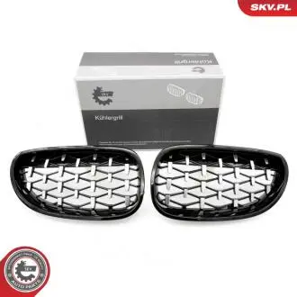 Grill BMW diament, czarny połysk, srebrny, BMW 5 E60 SKV GERMANY 66SKV175