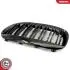 Grill BMW podwójna listwa, czarny połysk, BMW 6 E63 SKV GERMANY 66SKV205 (фото 8)