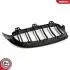 Grill BMW podwójna listwa, kolor carbon, BMW 4 F32 SKV GERMANY 66SKV151 (фото 6)