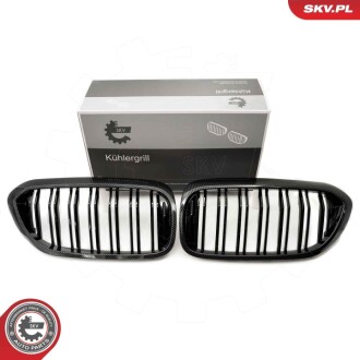 Grill BMW podwójna listwa, kolor carbon, BMW 5 G30 SKV GERMANY 66SKV197