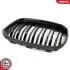 Grill BMW podwójna listwa, kolor carbon, BMW 1 F20 SKV GERMANY 66SKV019 (фото 8)