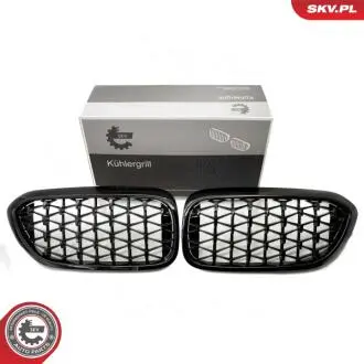 Grill BMW diament, czarny połysk, BMW 5 G30 SKV GERMANY 66SKV200