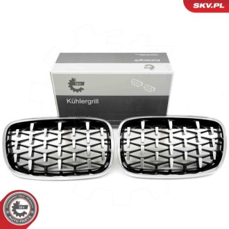 Grill BMW diament, srebrny, BMW X5 E70 SKV GERMANY 66SKV293