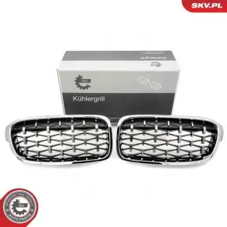 Grill BMW diament, srebrny, BMW 3 F30 SKV GERMANY 66SKV130