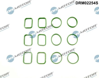 Комплект прокладок гумових DR MOTOR DRM02254S