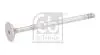 Клапан (впуск) Fiat Panda/Punto/Tipo 1.3D 09- (22.45x5.98x109.2) FEBI BILSTEIN 186246 (фото 2)