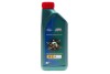 Олива 5W30 Magnatec Professional A5 (1L) CASTROL 15F60E (фото 1)