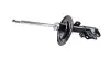 Фото 3 - стійка амортизатора Lexus ES250, ES350 TASHIKO G99622 Стійка амортизатора Lexus ES250, ES350 TASHIKO G99622 (фото 3)