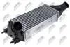 INTERCOOLER NTY CNG-FR-014 (фото 1)