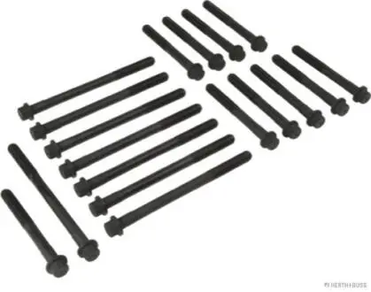 Комплект болтів з головкою системи TORX з чорного металу HERTH+BUSS / JAKOPARTS J1282031