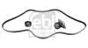 Комплект ременя генератора Renault Megane/Scenic 1.4/1.6 00-09 (5PK1750) 183565