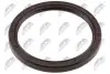 CRANKSHAFT SEAL NTY NUP-PL-009 (фото 2)