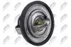 THERMOSTAT NTY CTM-CH-034 (фото 1)