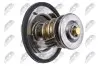 THERMOSTAT NTY CTM-KA-001 (фото 2)