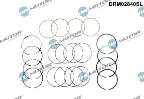 KPL.PIER┼ÜCIENI T┼üOKOWYCH NA 4 T┼üOKI CA┼üY SILNIK DR MOTOR DRM02840SL