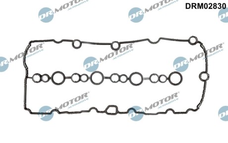 USZCZ.POKR.G┼ü. DR MOTOR DRM02830