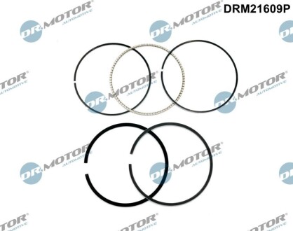 KPL.PIER┼ÜCIENI DR MOTOR DRM21609P