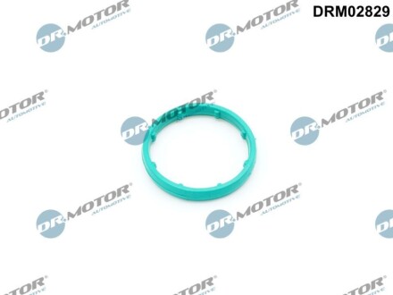 Прокладка масляного радiатора DR MOTOR DRM02829