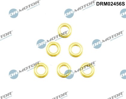 Шайба пiд форсунку, 6 шт DR MOTOR DRM02456S (фото 1)