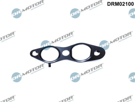 USZCZELKA ZAWORU EGR FORD DR MOTOR DRM02100 (фото 1)