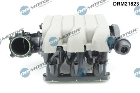 KOLEKTOR DOLOTOWY AUDI DR MOTOR DRM21823