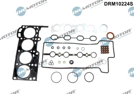 USZCZELKI - ZESTAW DR MOTOR DRM10224S (фото 1)