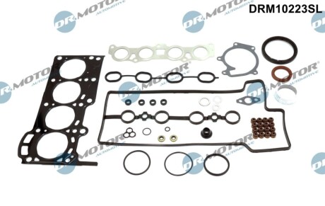 USZCZELKI - ZESTAW DR MOTOR DRM10223SL (фото 1)