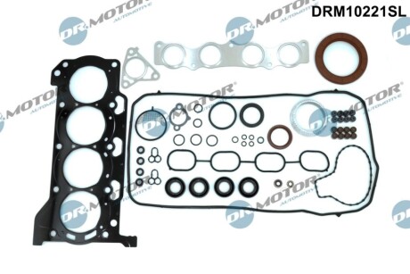 USZCZELKI - ZESTAW DR MOTOR DRM10221SL (фото 1)